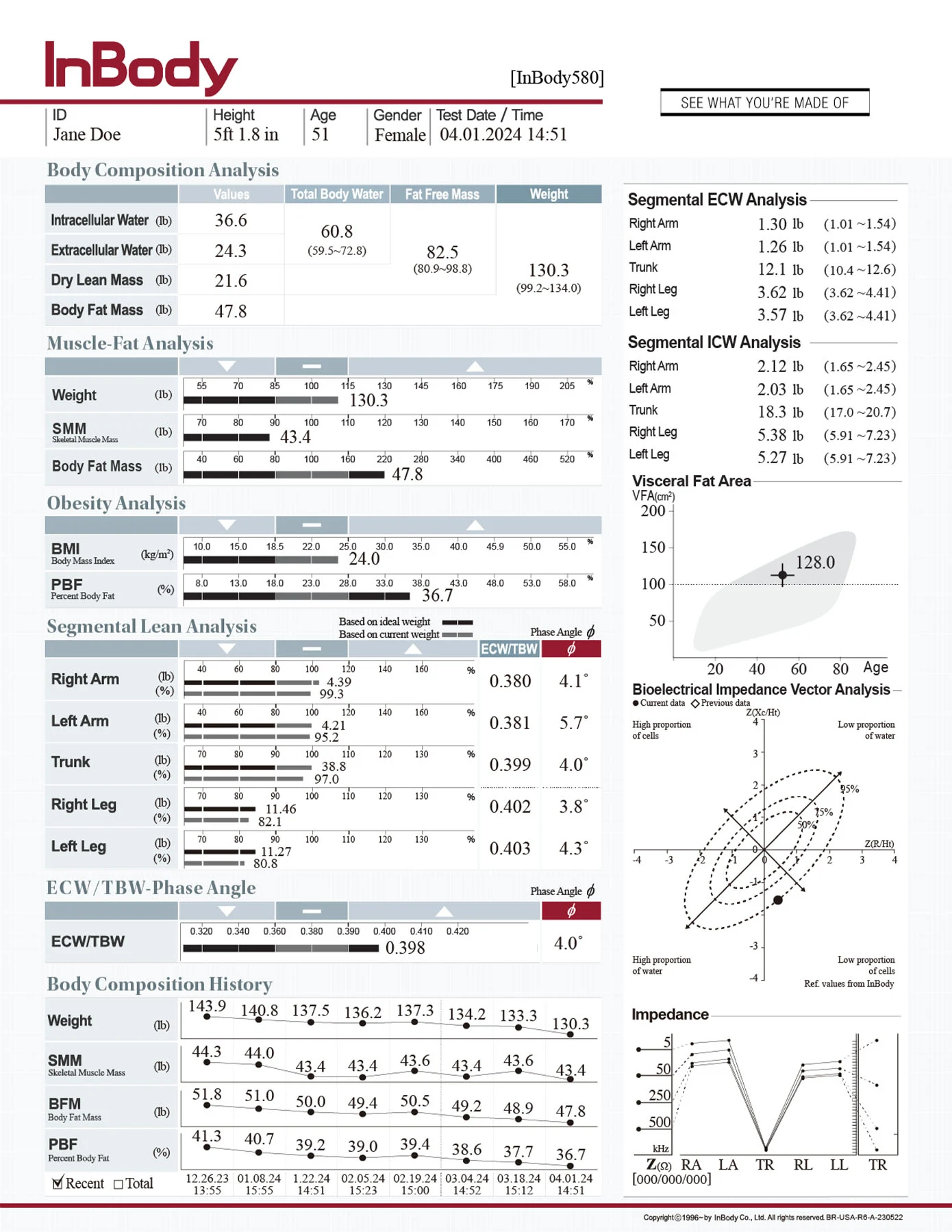 Sample InBody580 result sheet showing body composition, muscle-fat, obesity, segmental lean and visceral fat analysis